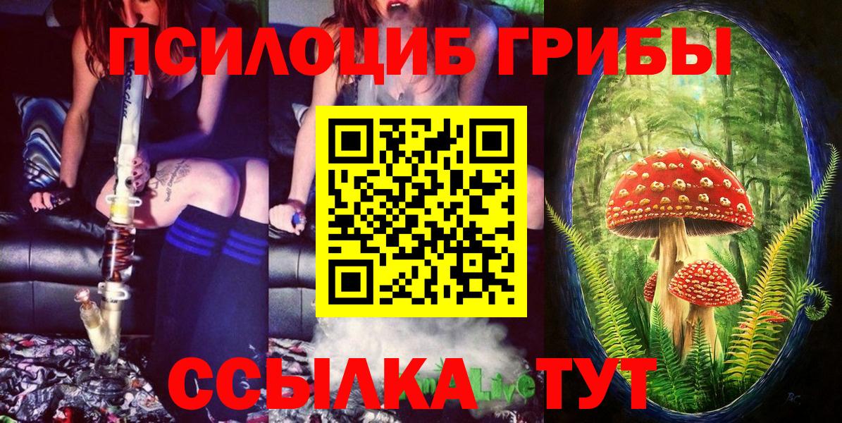 Псилоцибиновые грибы Psilocybine cubensis Чайковский